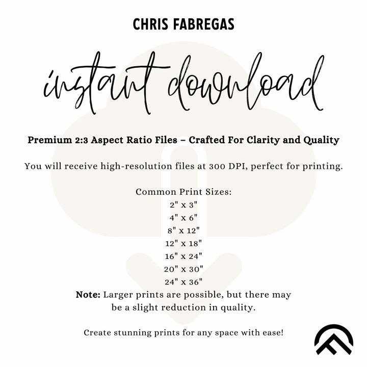 Chris Fabregas Fine Art Photography Digital Download WASHINGTON SKI RESORTS, Digital Printable Art Wall Art print High-quality fine art photography print