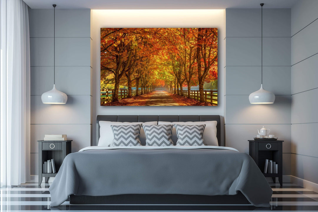 Chris Fabregas Photography Metal, Wood, Canvas, Paper Vibrant Fall Colors Near Seattle Wall Art print