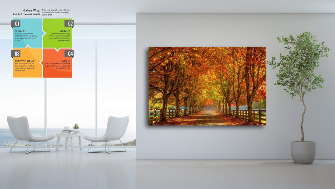 Chris Fabregas Photography Metal, Wood, Canvas, Paper Vibrant Fall Colors Near Seattle Wall Art print