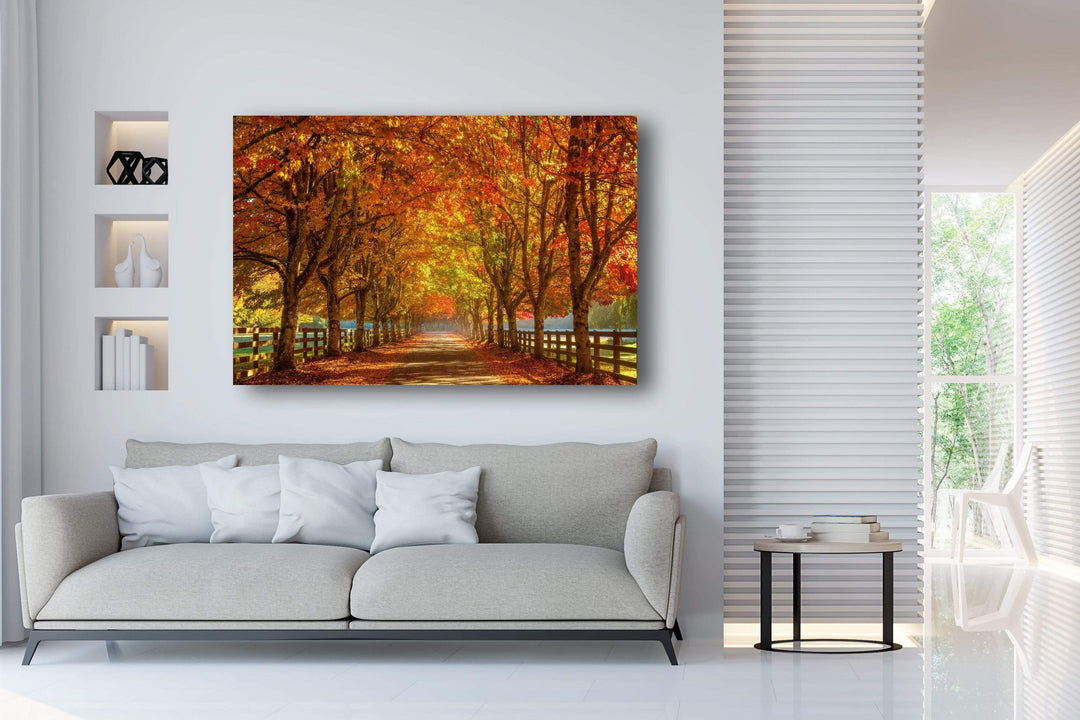 Chris Fabregas Photography Metal, Wood, Canvas, Paper Vibrant Fall Colors Near Seattle Wall Art print