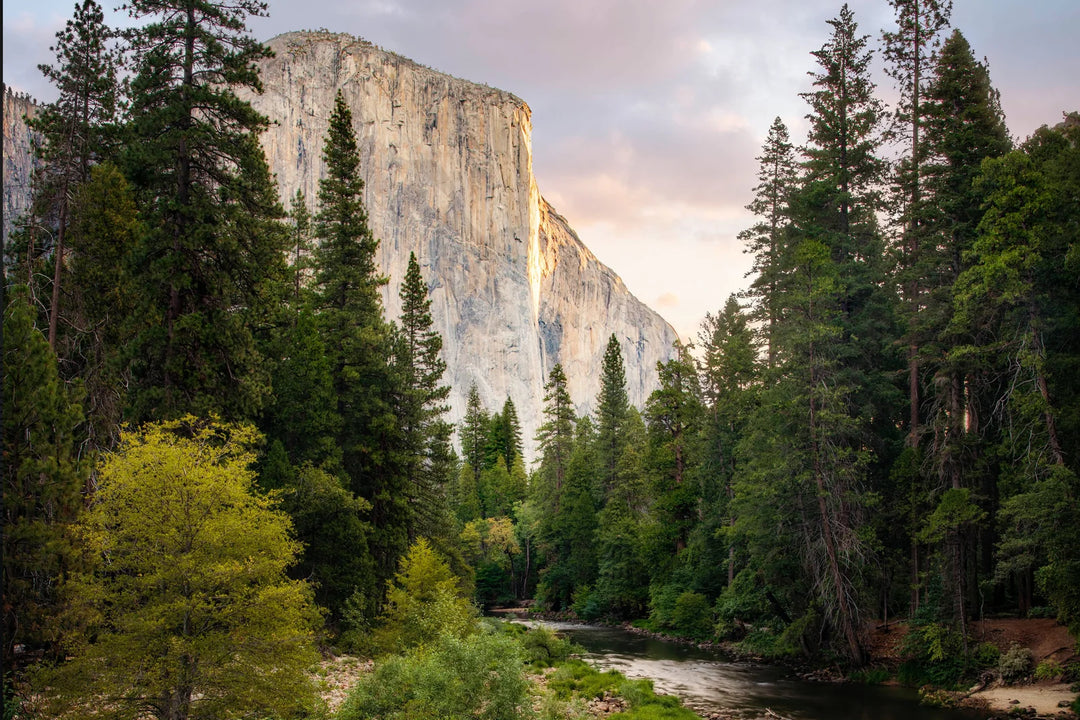 Yosemite National Park fine art photography for a calm biophilic home interior