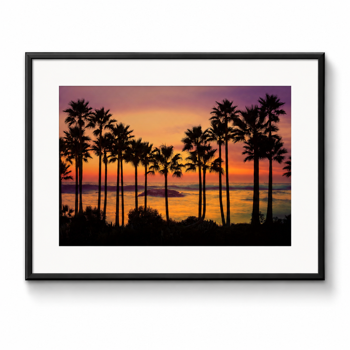 Laguna Beach Palm Tree Sunset Fine Art Print in a black frame with white mat