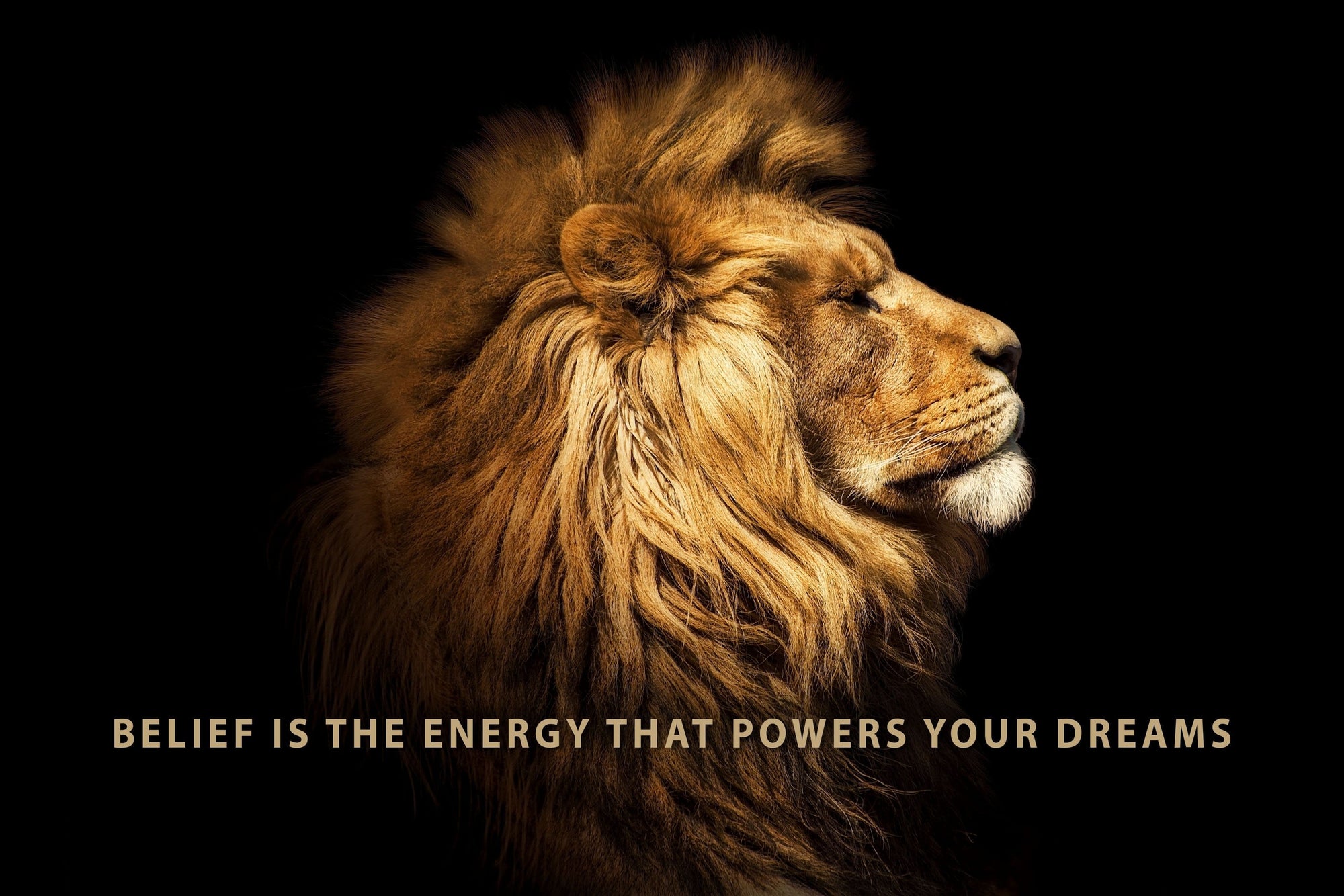 Chris Fabregas Fine Art Photography Motivational Canvas Lion Power Your Dreams Motivational Canvas Wall Art print