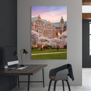 Chris Fabregas Photography Metal, Canvas, Paper UNIVERSITY OF WASHINGTON Cherry Blossoms, Fine Art print Wall Art print