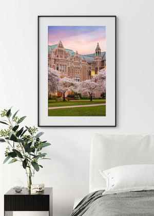 Chris Fabregas Photography Metal, Canvas, Paper UNIVERSITY OF WASHINGTON Cherry Blossoms, Fine Art print Wall Art print