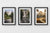 Chris Fabregas Photography Metal, Canvas, Paper Yosemite Wall Art Bundle Wall Art print