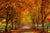 Chris Fabregas Photography Metal, Wood, Canvas, Paper Vibrant Fall Colors Near Seattle Wall Art print
