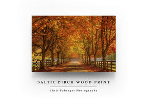 Chris Fabregas Photography Metal, Wood, Canvas, Paper Vibrant Fall Colors Near Seattle Wall Art print