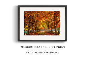 Chris Fabregas Photography Metal, Wood, Canvas, Paper Vibrant Fall Colors Near Seattle Wall Art print